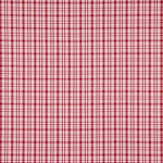 Chemise en popeline Carreaux Boston - Ribes y Casals