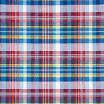 Chemise en popeline à carreaux Seattle - Ribes y Casals