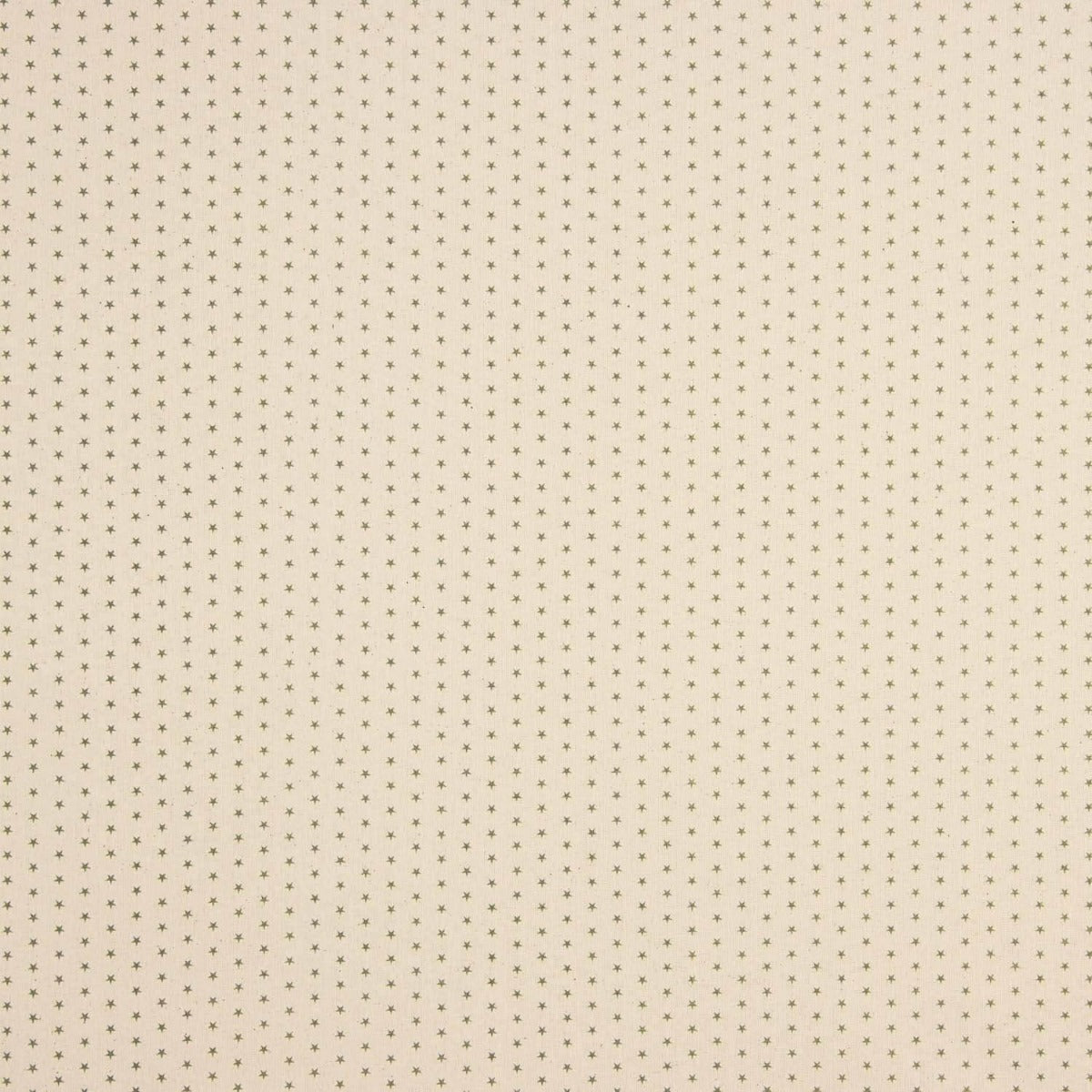 Popeline imprimée Étoiles Vert-Raw - Ribes y Casals