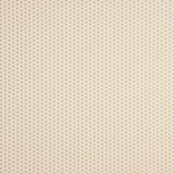 Popeline imprimée Étoiles Vert-Raw - Ribes y Casals