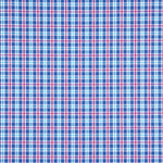 Chemise en popeline à carreaux Carson - Ribes y Casals