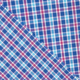 Chemise en popeline à carreaux Carson - Ribes y Casals