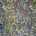 Grille élastique léopard laminée grise - Ribes y Casals