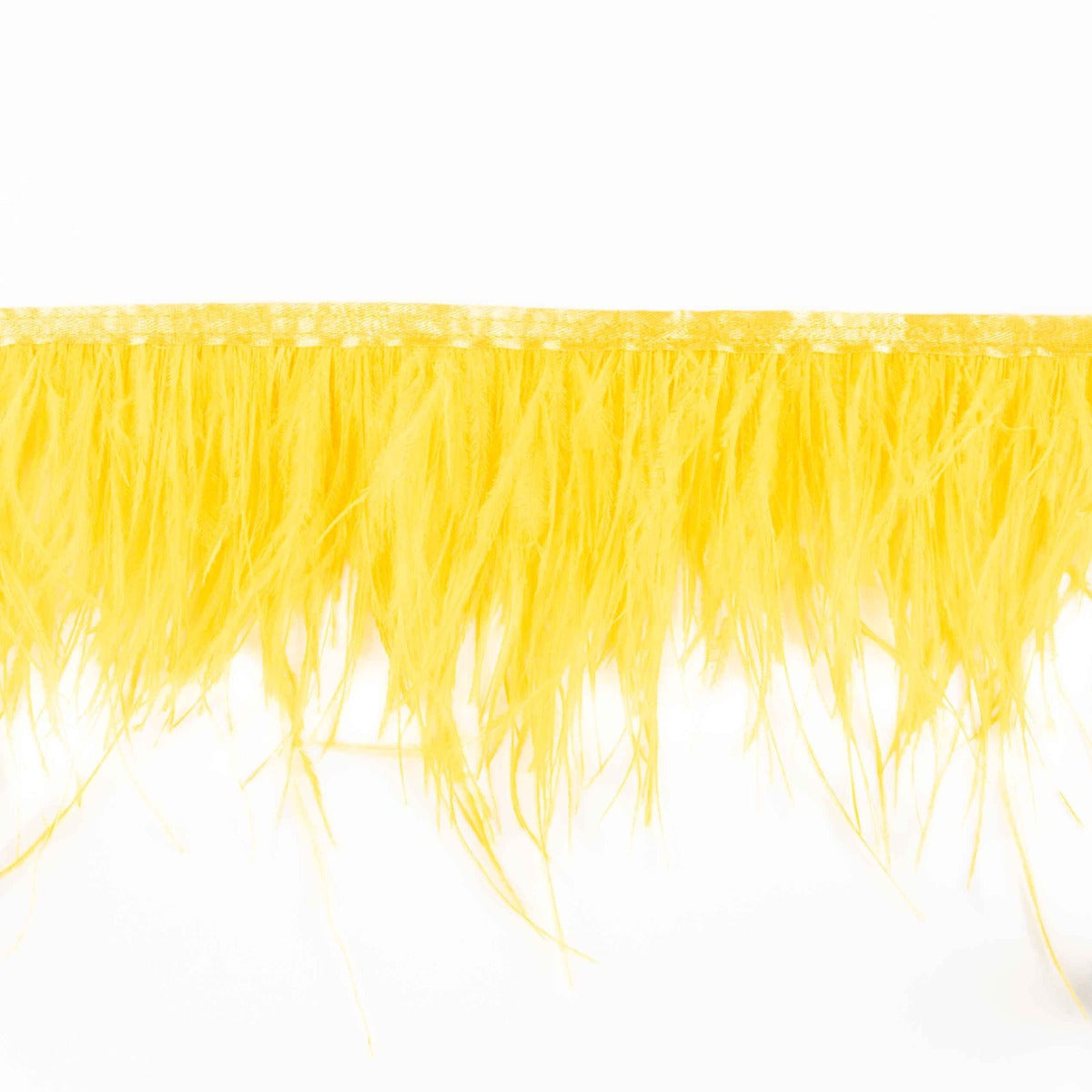 Frange Plume Plus Jaune - Ribes y Casals