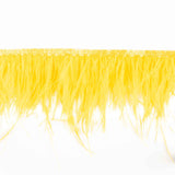 Frange Plume Plus Jaune - Ribes y Casals
