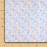 Coton Petit Ours - Ribes y Casals