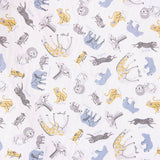 Coton Baobab - Ribes y Casals