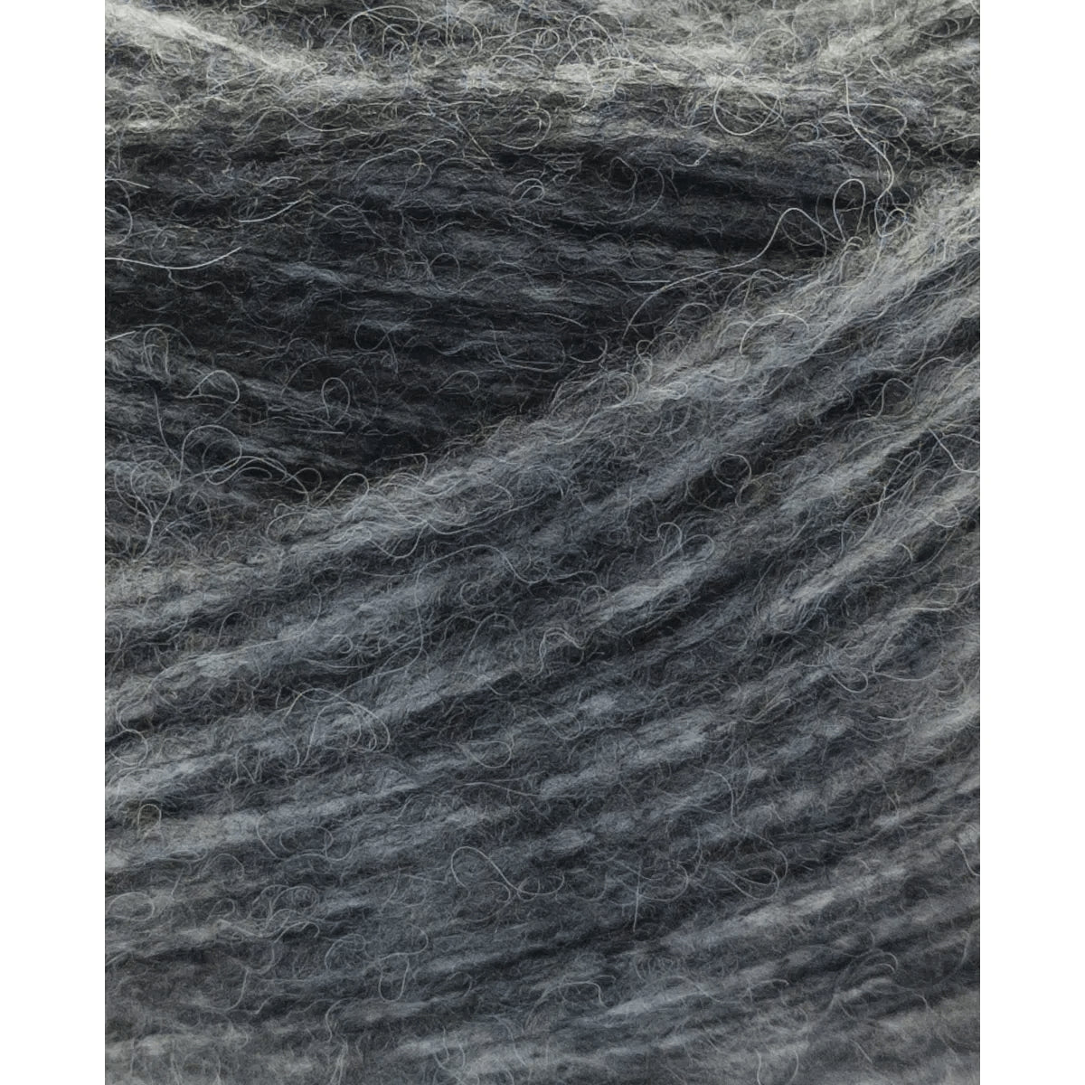 Pingouin Bunny Polaroïd - Ribes y Casals