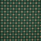 Popeline de Coton Vert Polaris - Ribes y Casals