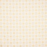 Popeline Coton Polaris Ecru - Ribes y Casals