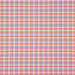 Chemise en popeline à carreaux Dublin - Ribes y Casals