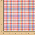 Chemise en popeline à carreaux Dublin - Ribes y Casals