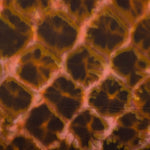 Tie-dye feu satin de viscose - Ribes y Casals