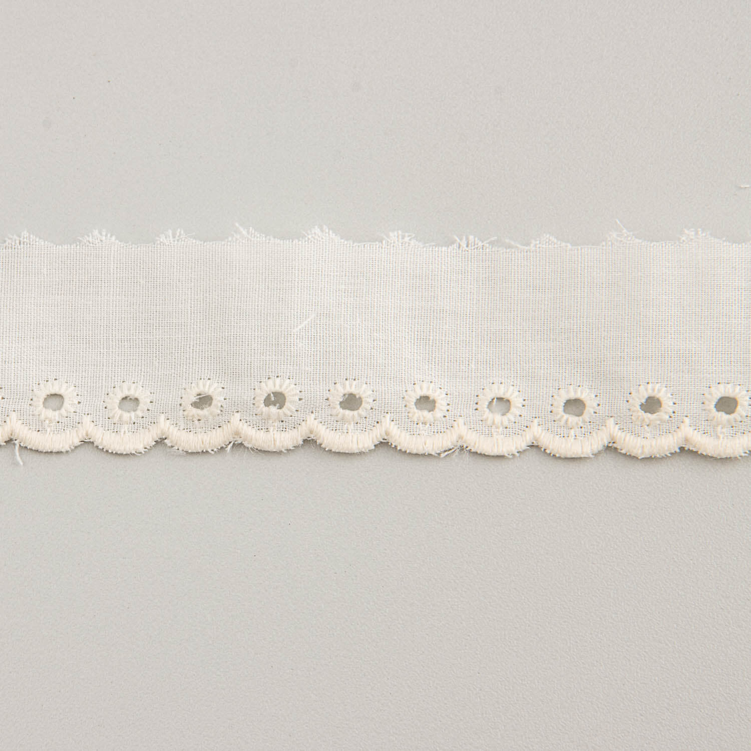 Ruban Coton Brodé 2.5cm - Ribes y Casals