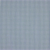 Popeline de chemise à carreaux Glencoe - Ribes y Casals