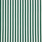 Viscose crêpé rayé vert et blanc - Ribes y Casals
