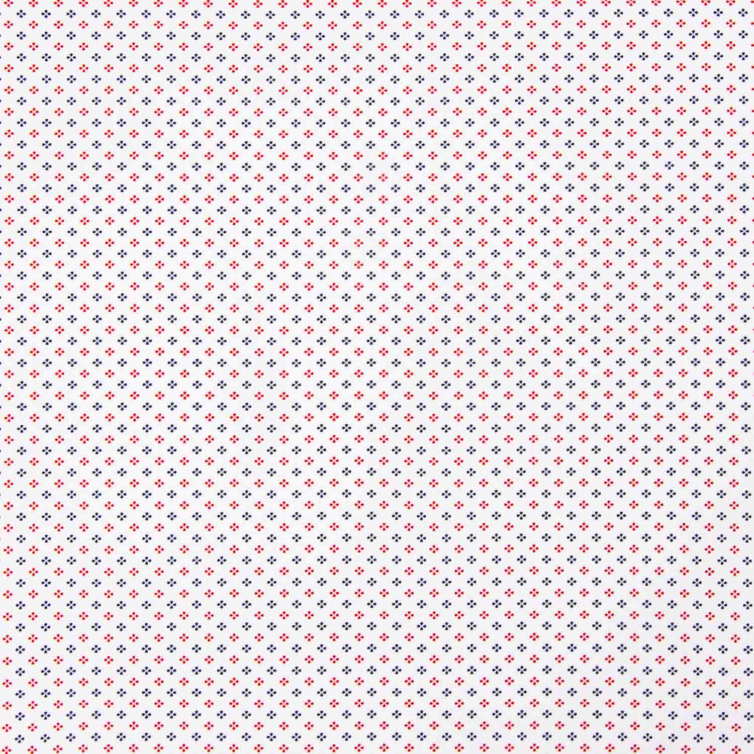 Chemise en coton à fleurs rouges et bleues - Ribes y Casals