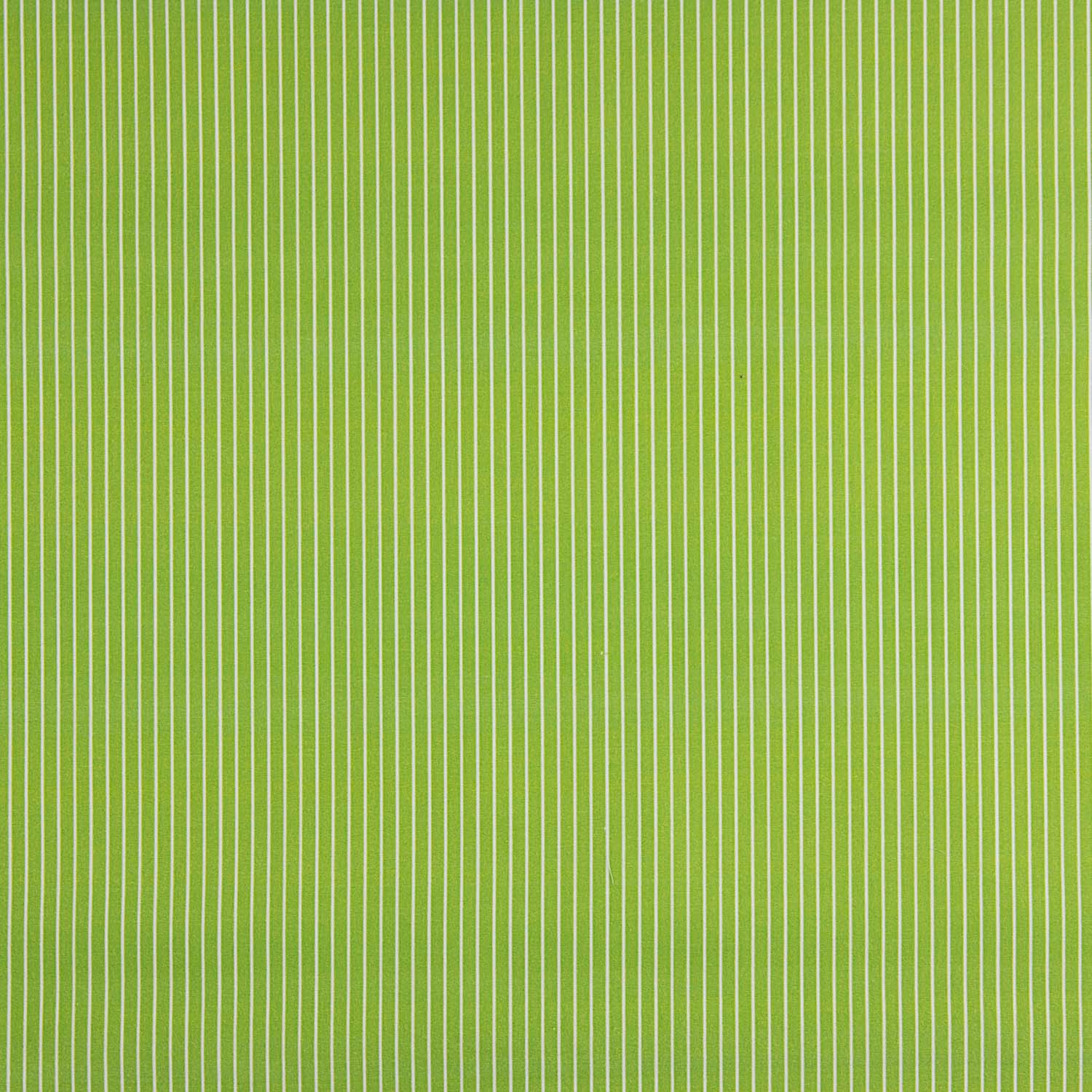 Percal imprimé rayé pistache - Ribes y Casals