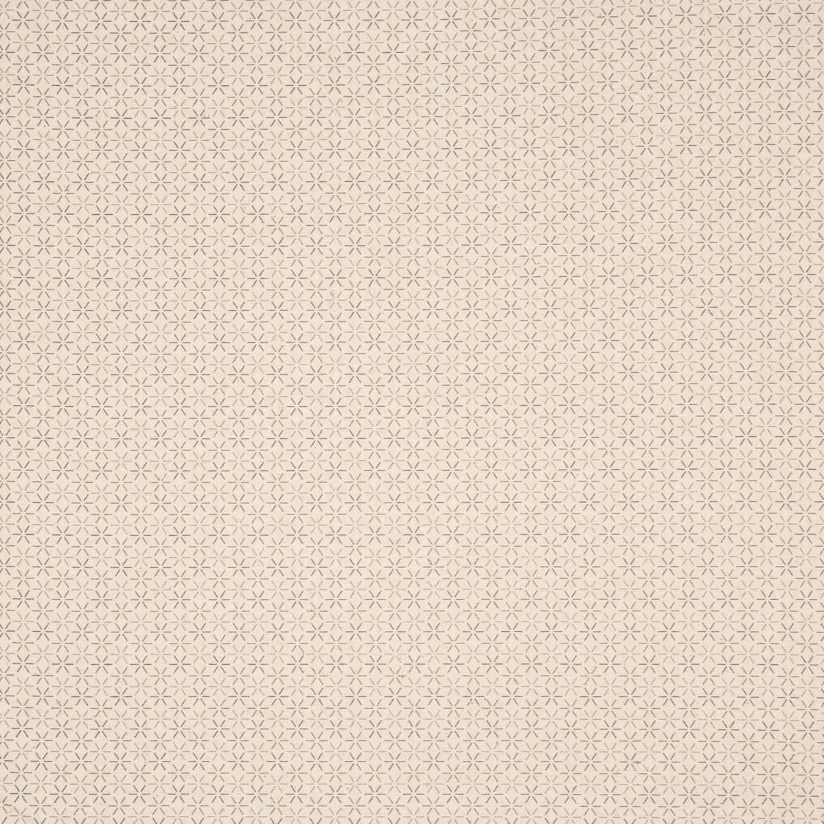 Popeline Beige Star - Ribes y Casals