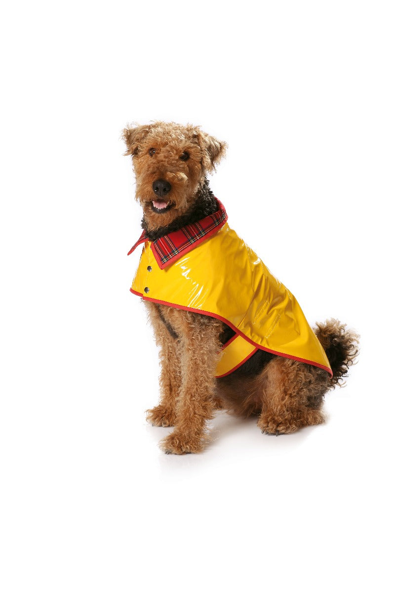 Patron de Couture Burda 7752 Manteau de chien - Ribes y Casals