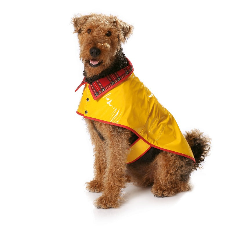 Patron de Couture Burda 7752 Manteau de chien - Ribes y Casals