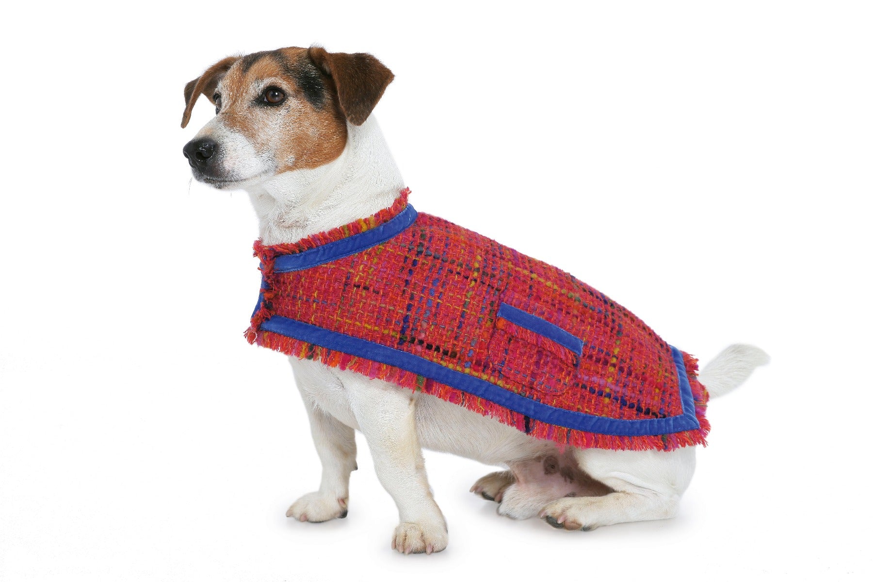 Patron de Couture Burda 7752 Manteau de chien - Ribes y Casals