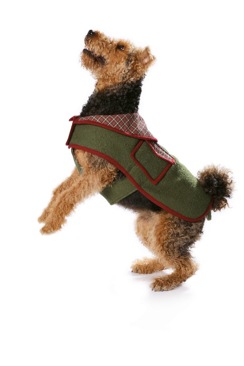 Patron de Couture Burda 7752 Manteau de chien - Ribes y Casals