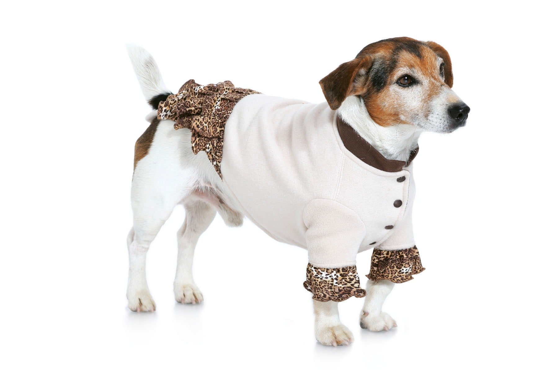 Patron de Couture Burda 7752 Manteau de chien - Ribes y Casals