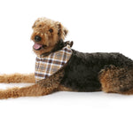 Patron de Couture Burda 7752 Manteau de chien - Ribes y Casals