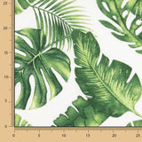 Toile imprimée « Feuilles tropicales » - Ribes y Casals