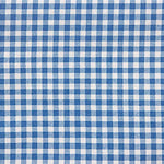 Nappe en plastique à carreaux vichy bleue - Ribes y Casals
