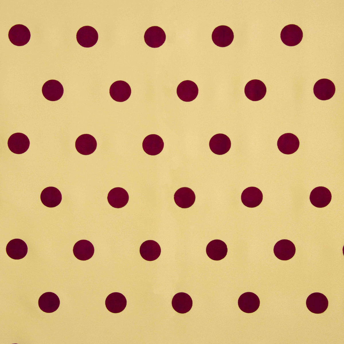 Fama Camel Dots Floqué Marron 30mm - Ribes y Casals