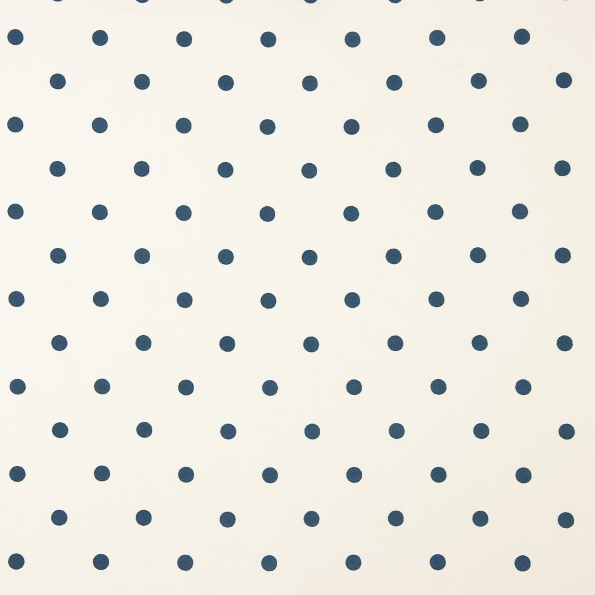 Glossy Fama Crème stretch floquée Bleu - Ribes y Casals