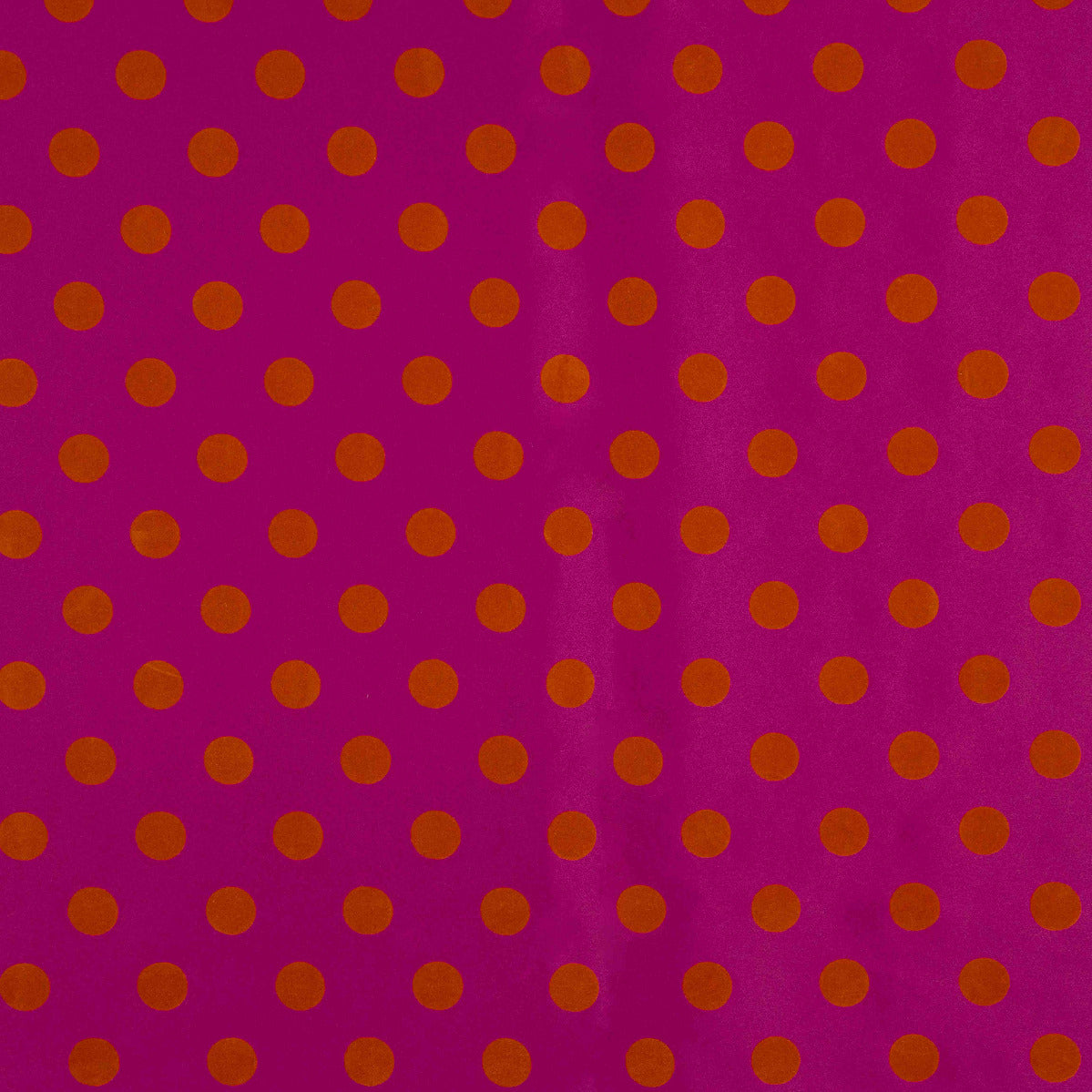 Fama Orchidée Orange Floqué Points Fame 20mm - Ribes y Casals