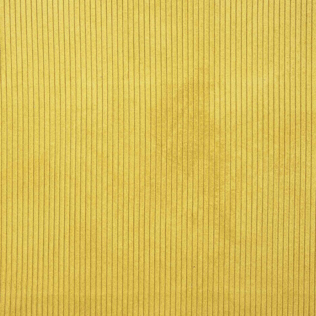 Velours côtelé jaune - Ribes y Casals