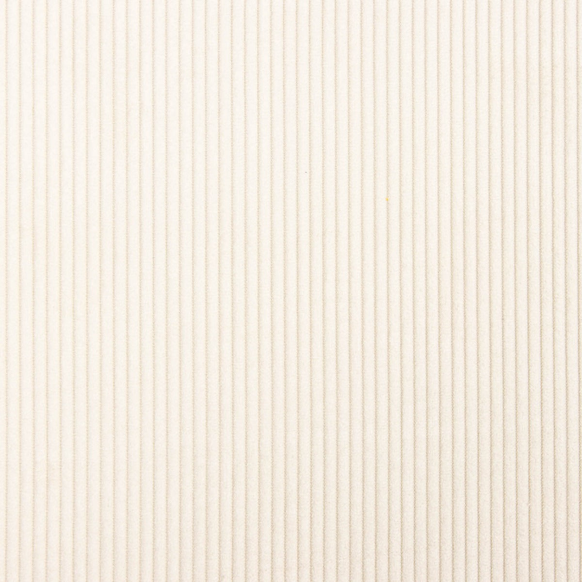 Velours côtelé crème naturel - Ribes y Casals