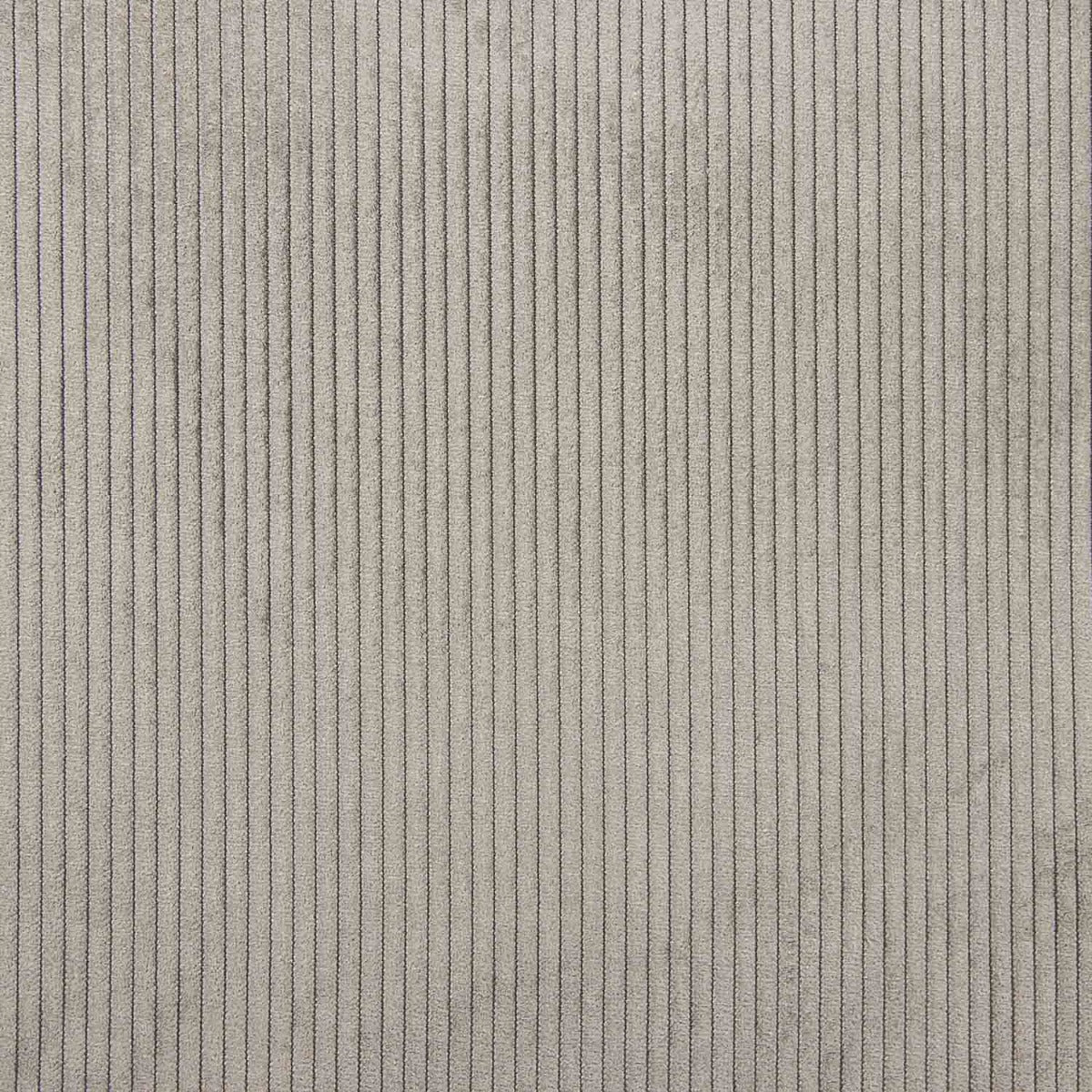 Velours côtelé gris cendré - Ribes y Casals