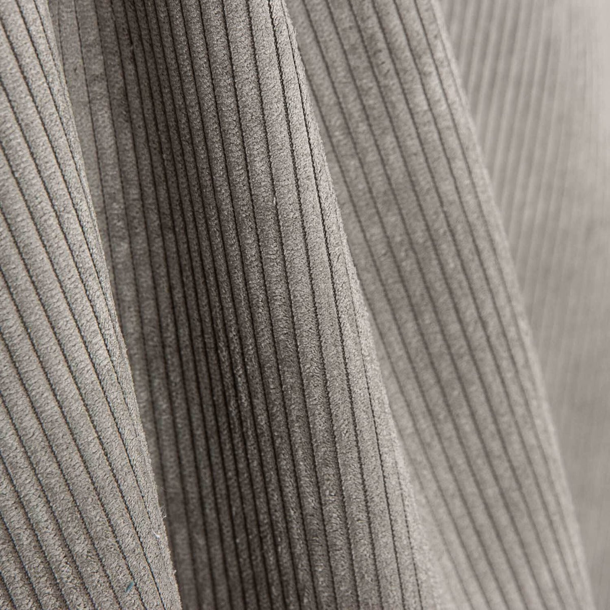 Velours côtelé gris cendré - Ribes y Casals