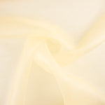 Organza de soie beige - Ribes y Casals