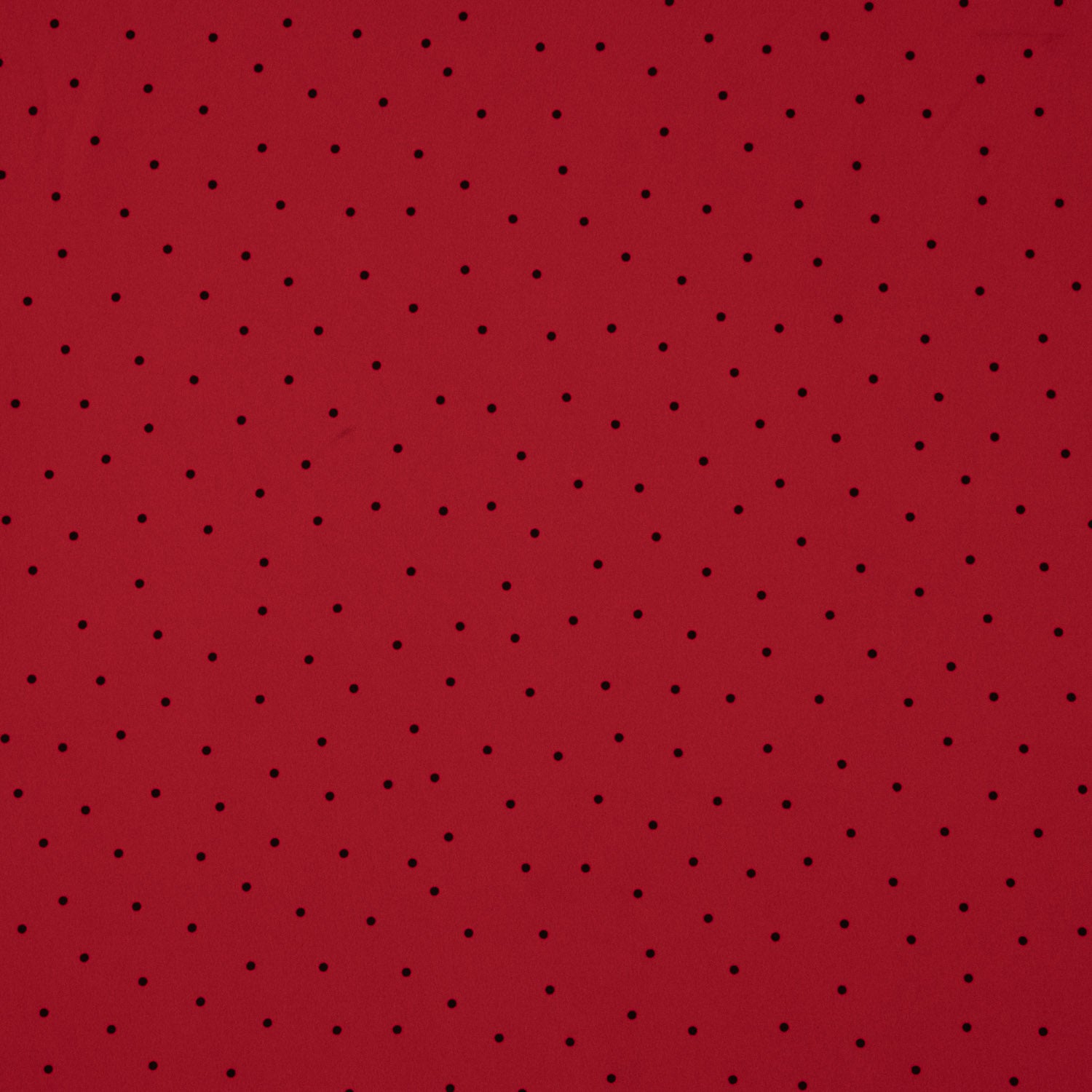 Koshibo Lunares Aguja Rouge-Noir - Ribes y Casals