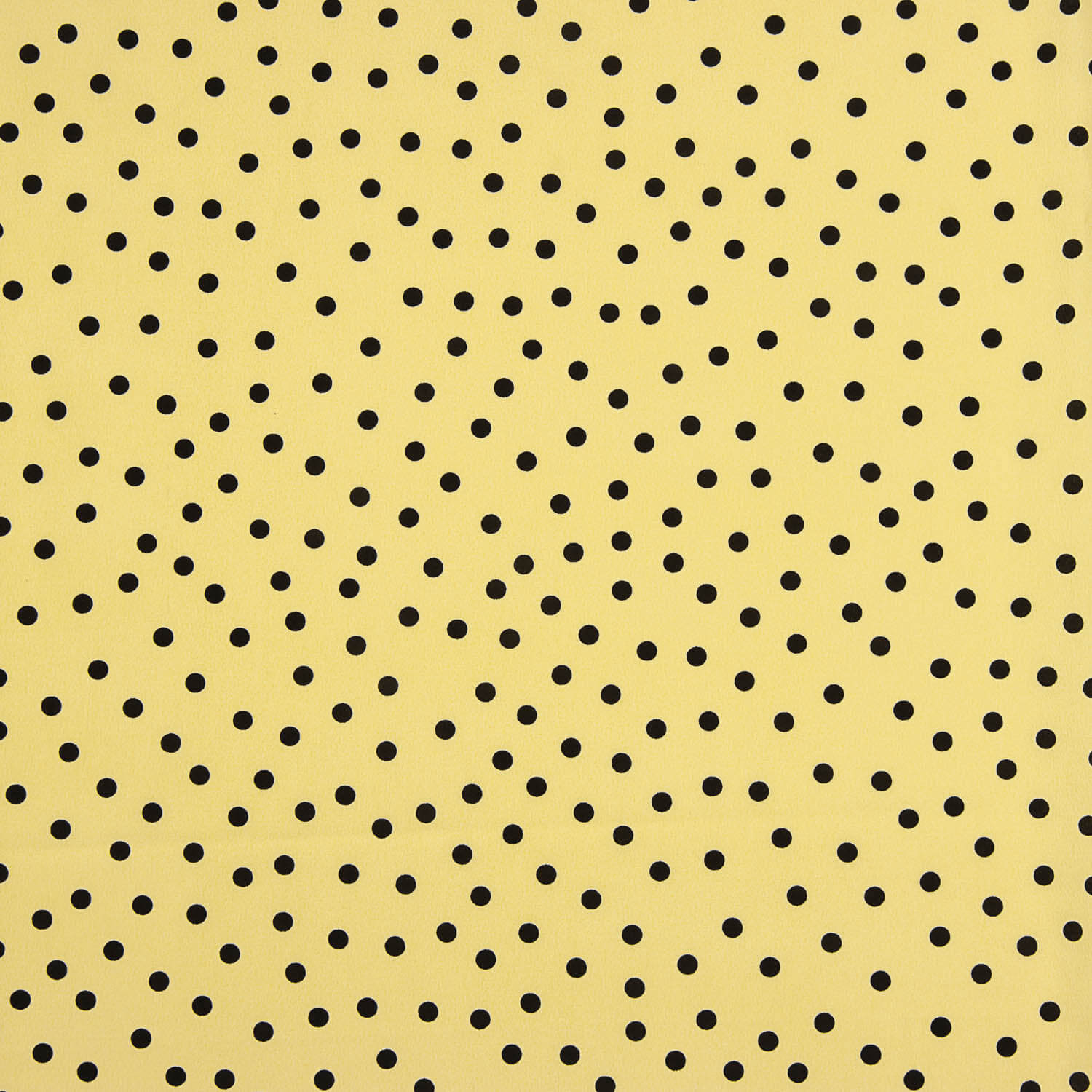 Koshibo à pois 7 mm Vanille / Noir - Ribes y Casals