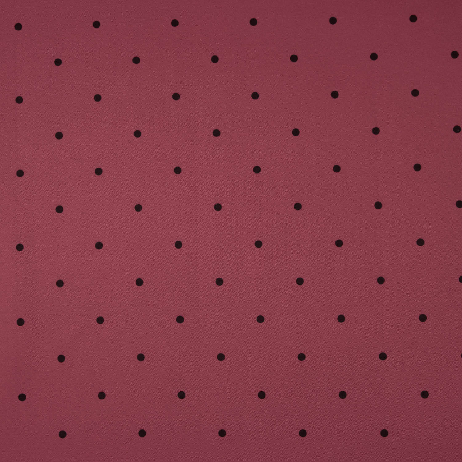 Polytecno Élastique Lunar Noir Fond Grenat - Ribes y Casals