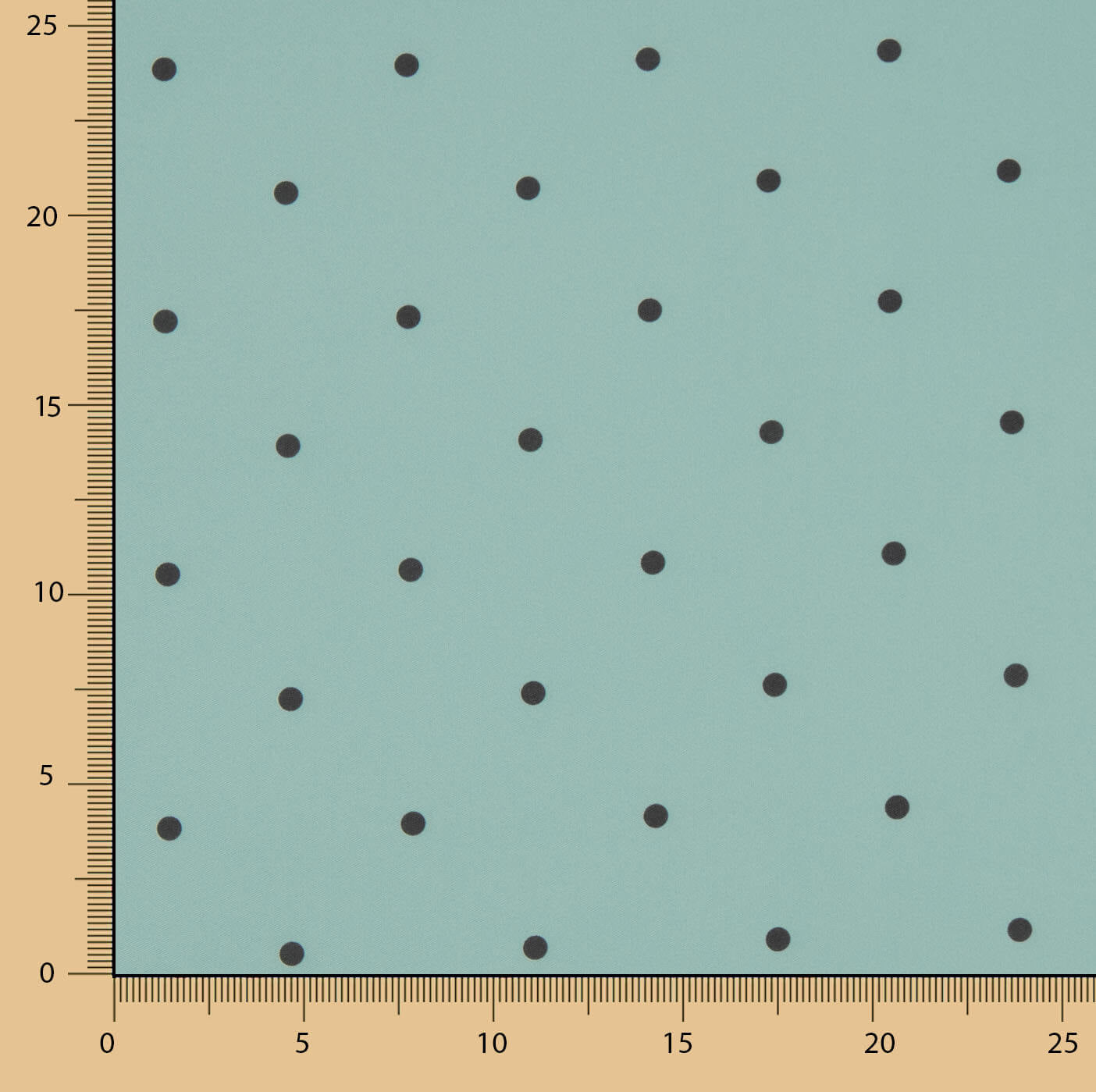 Polytecno Élastique Lunar Noir Fond Bleu Baltique - Ribes y Casals