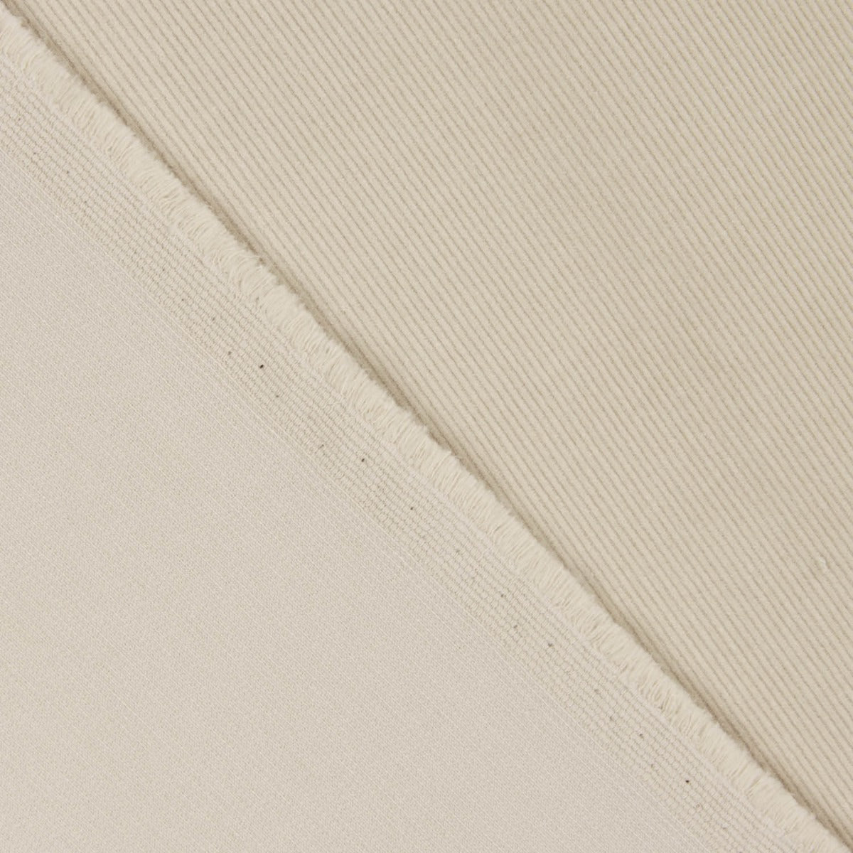 Coton babycord beige - Ribes y Casals