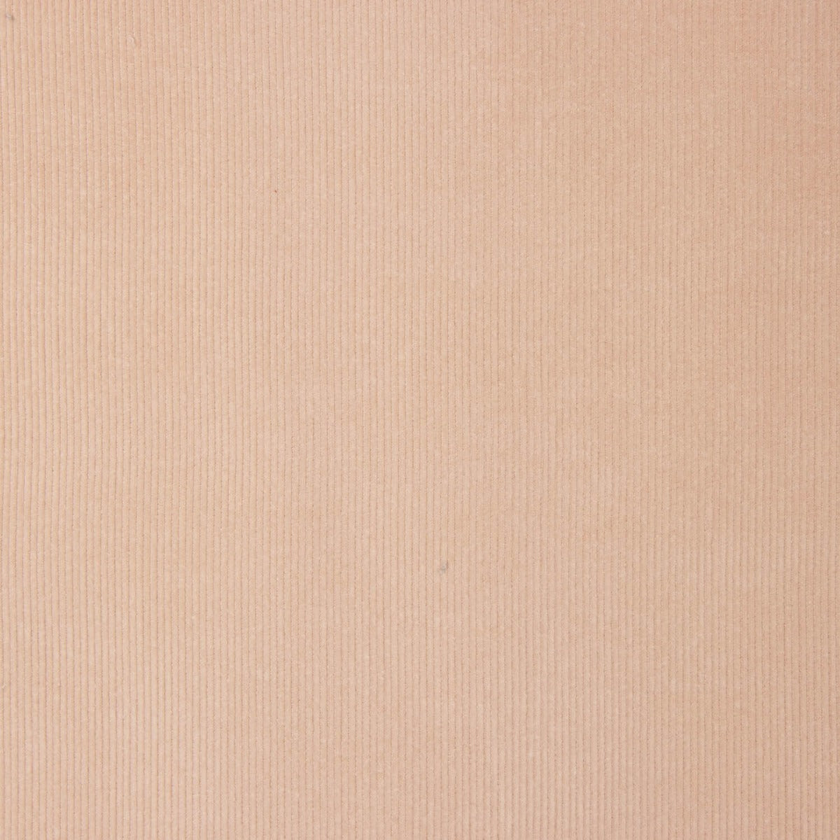 Coton babycord rose pâle - Ribes y Casals