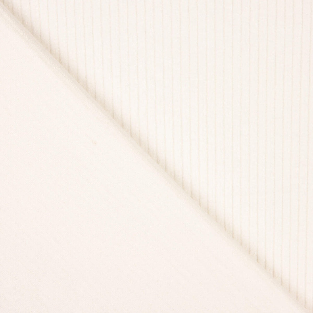 Velours côtelé en coton naturel - Ribes y Casals