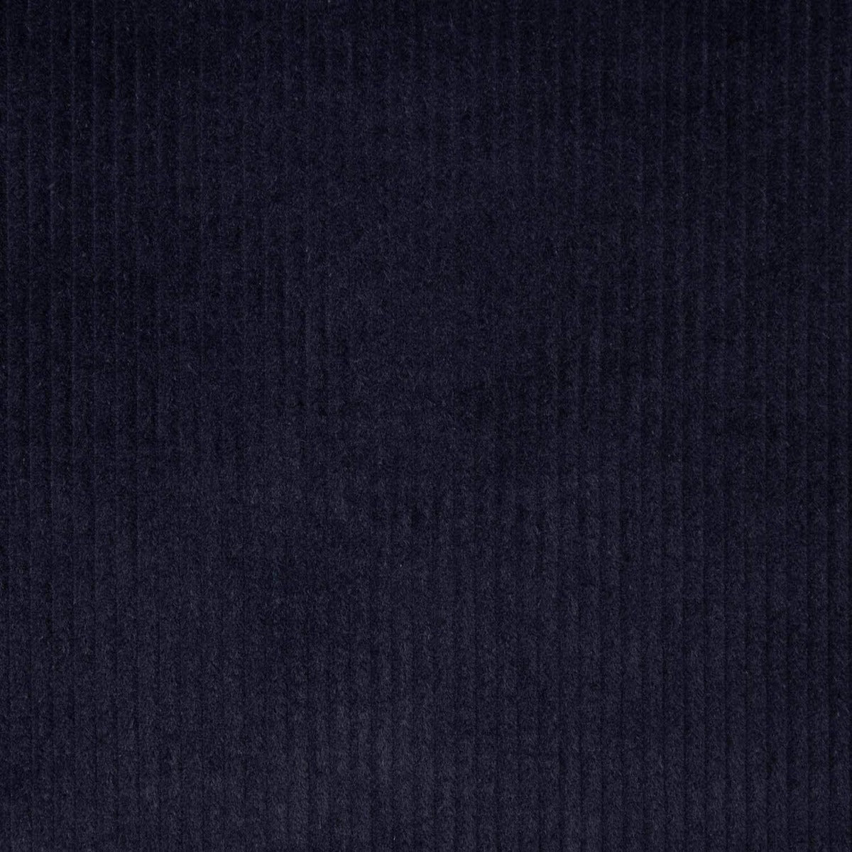 Velours côtelé en coton bleu marine - Ribes y Casals