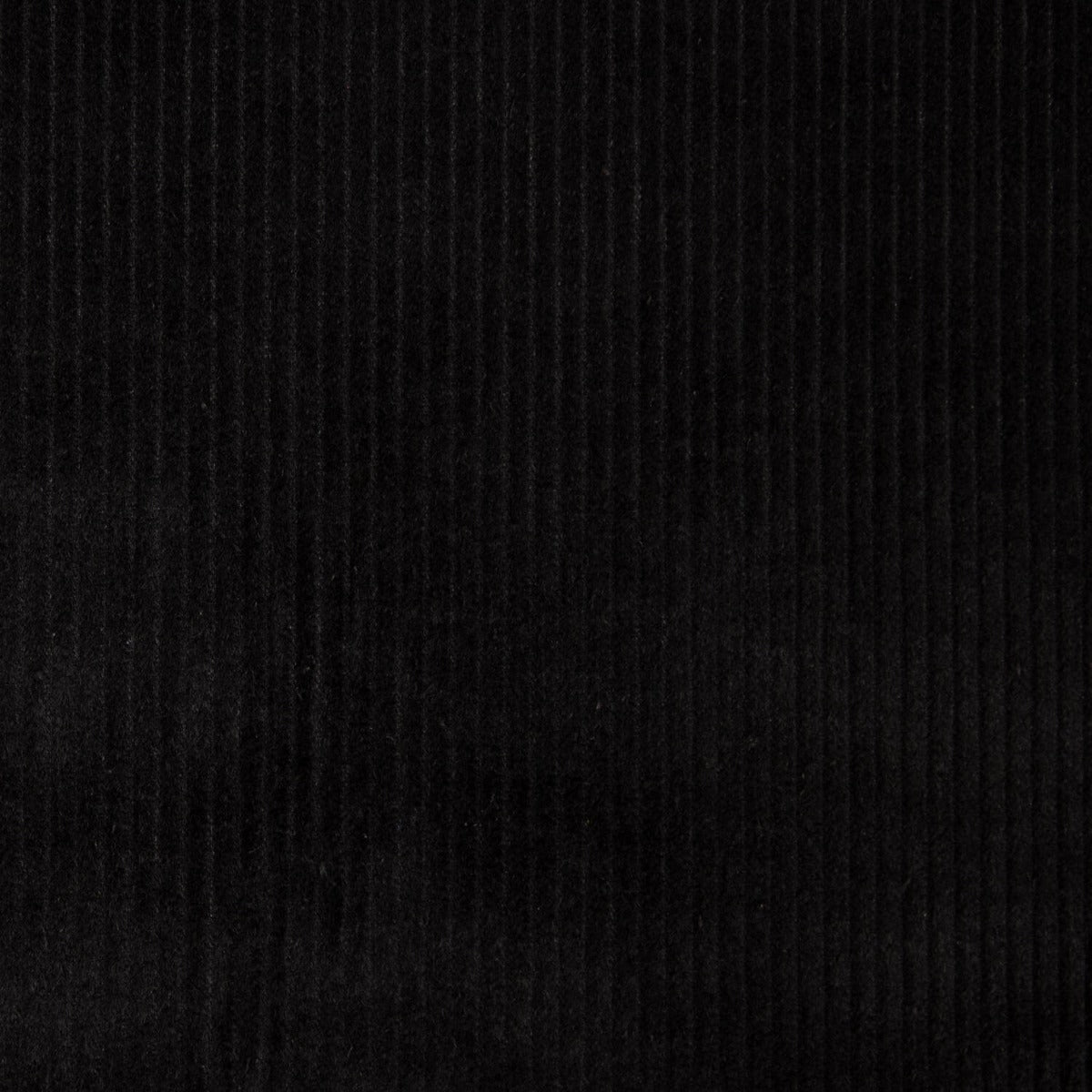 Velours côtelé en coton noir - Ribes y Casals