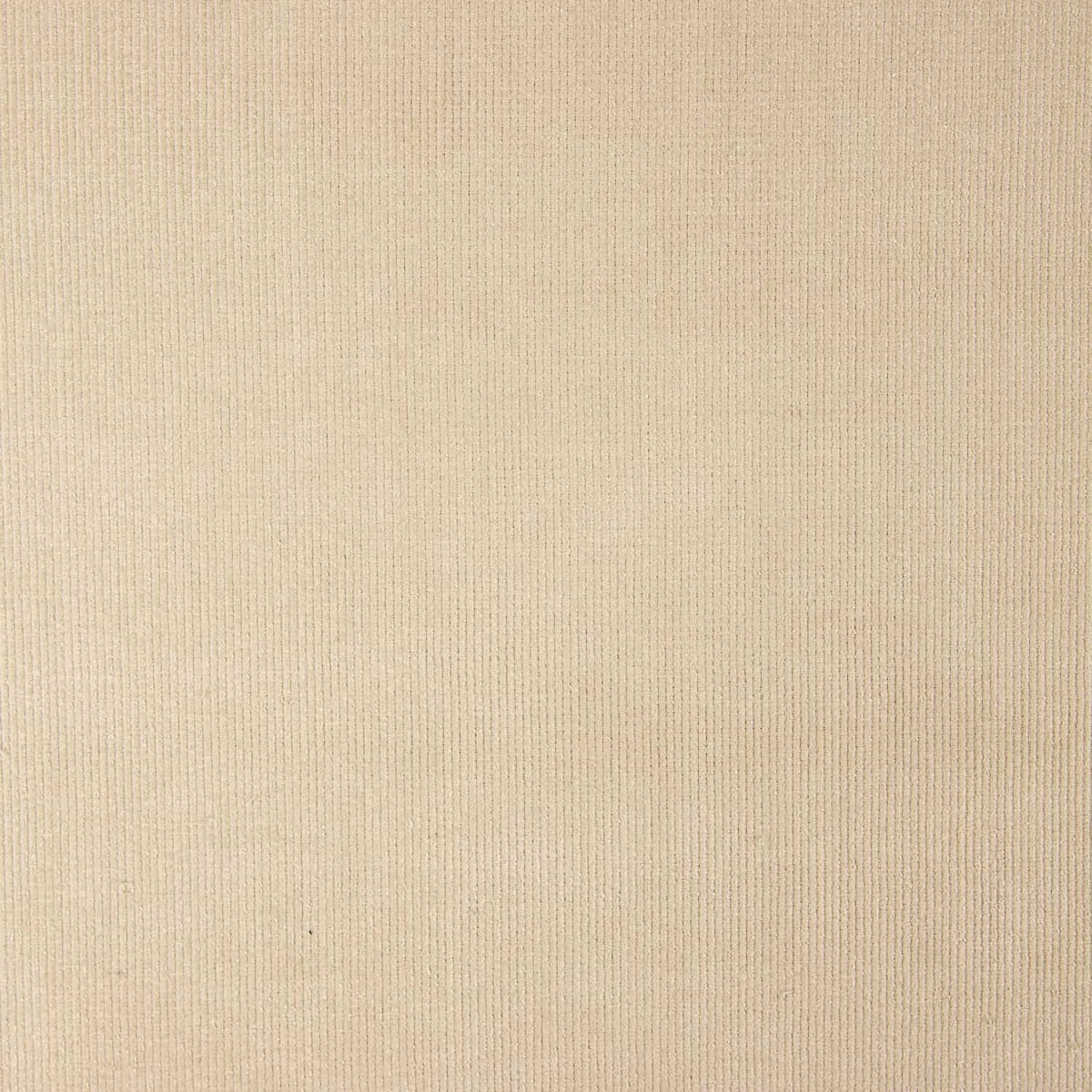 Micro-velours côtelé extensible sable - Ribes y Casals
