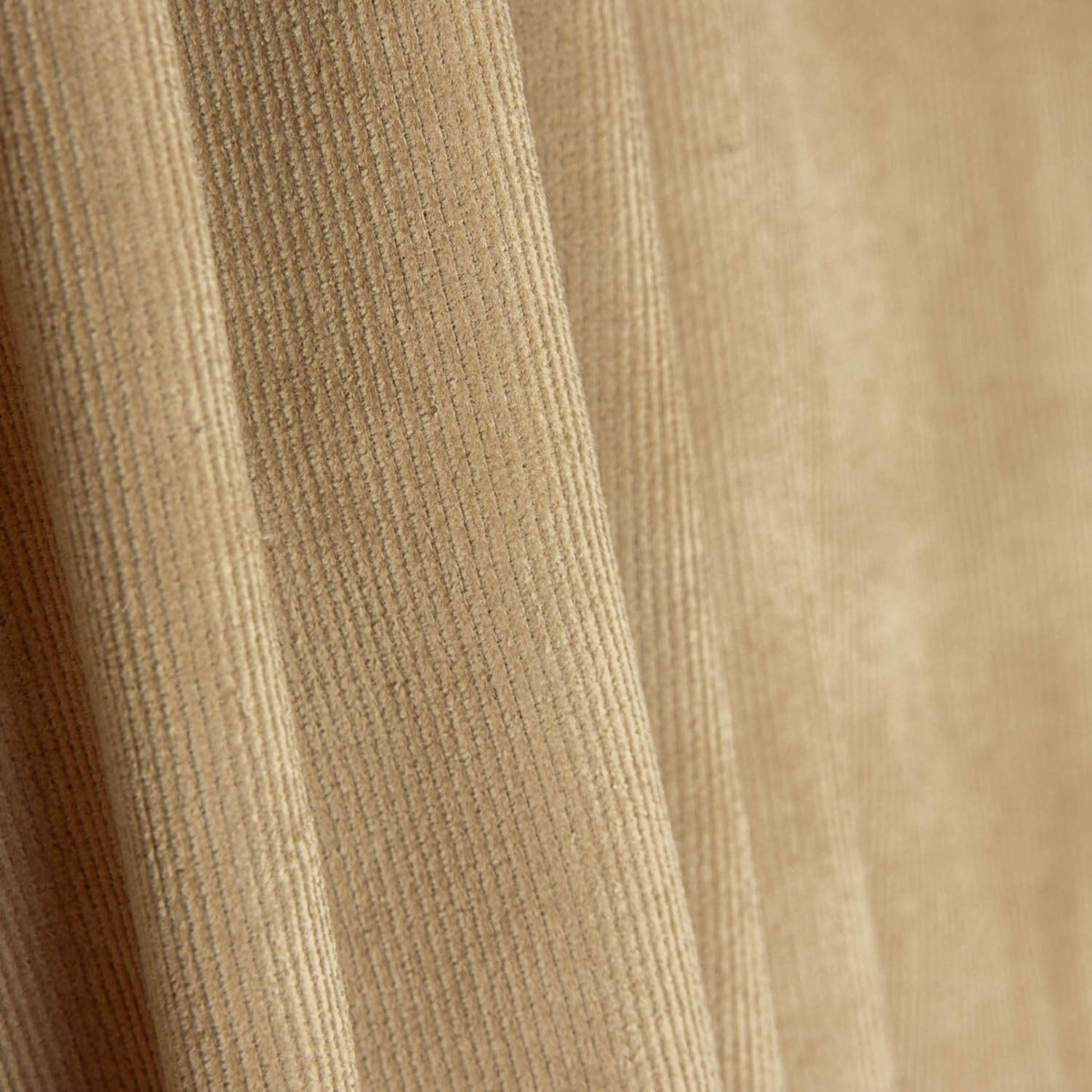 Micro-velours côtelé extensible beige - Ribes y Casals